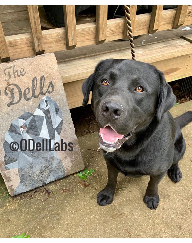 O'Dell Labs